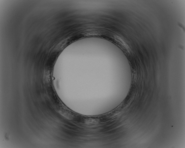 X0000095690549200801081041