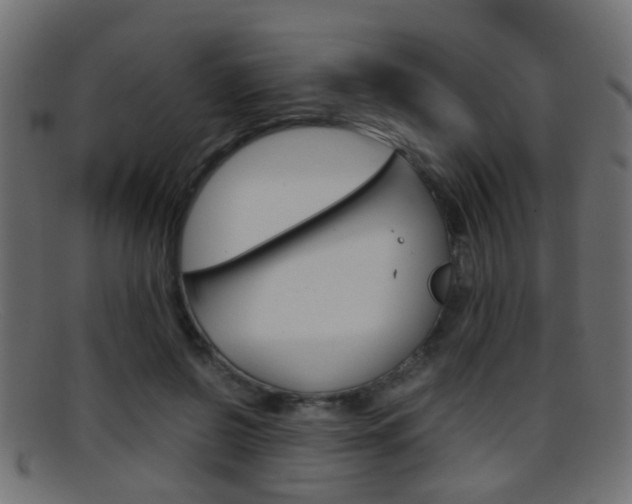 X0000095690550200801081041