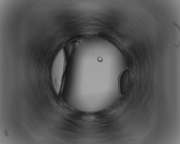 X0000095690551200801081041