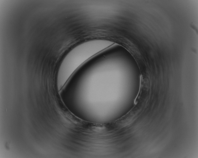X0000095690552200801081041