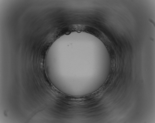 X0000095690553200801081041