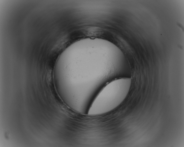 X0000095690554200801081041