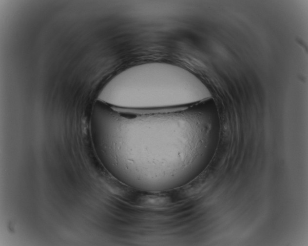 X0000095690555200801081041