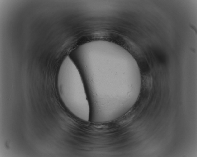 X0000095690557200801081041