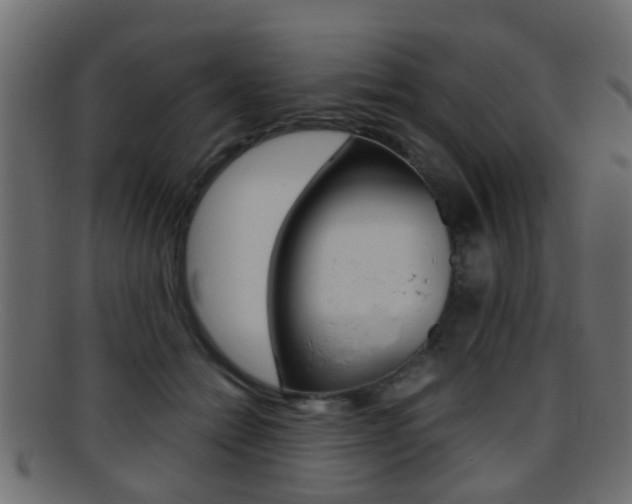 X0000095690558200801081041