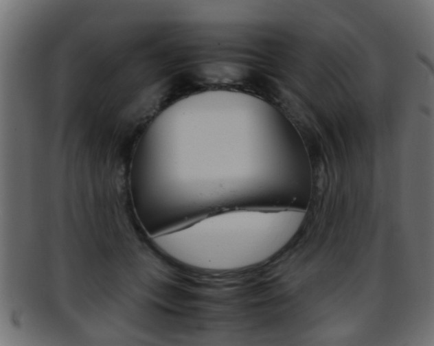 X0000095690559200801081041