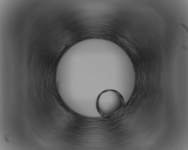X0000095690560200801081041