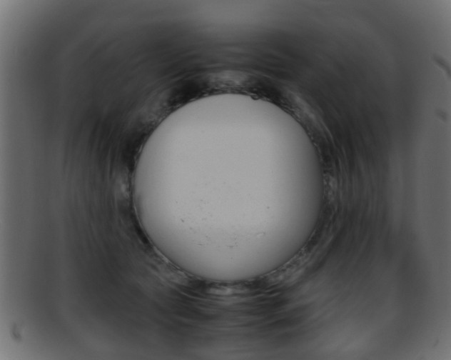 X0000095690561200801081041