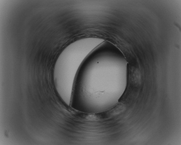 X0000095690562200801081041