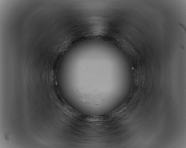 X0000095690563200801081041