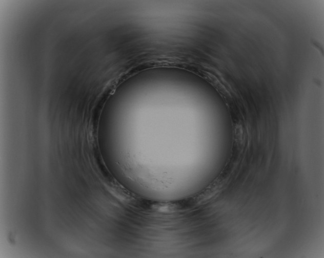 X0000095690564200801081041
