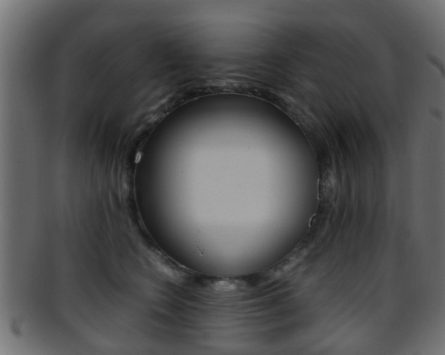 X0000095690566200801081041
