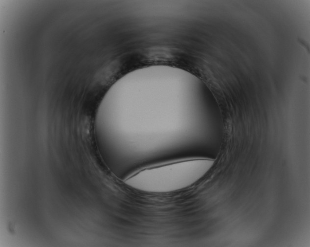 X0000095690567200801081041