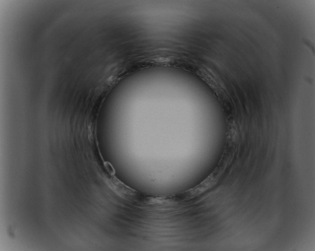 X0000095690568200801081041