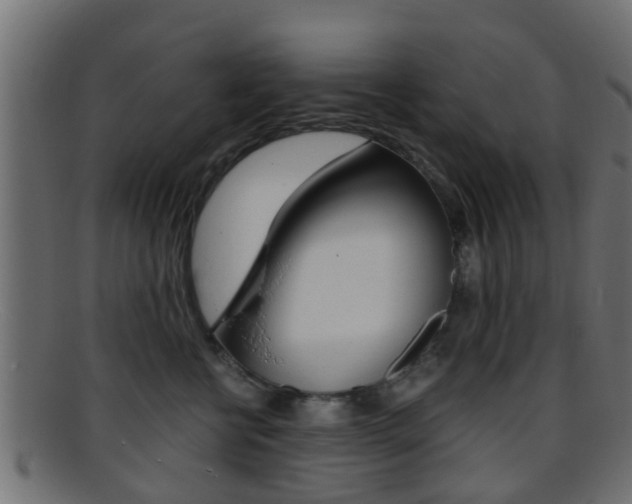 X0000095690570200801081041