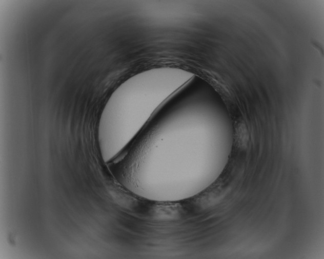 X0000095690571200801081041