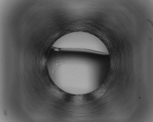 X0000095690574200801081041