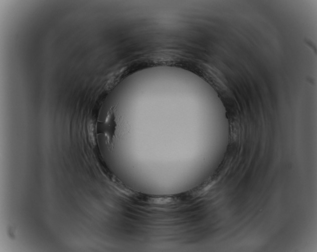 X0000095690575200801081041