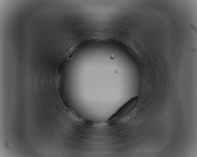 X0000095690576200801081041