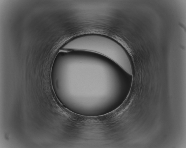 X0000095690577200801081040