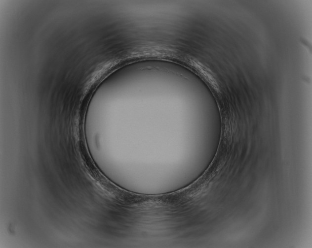X0000095690578200801081040