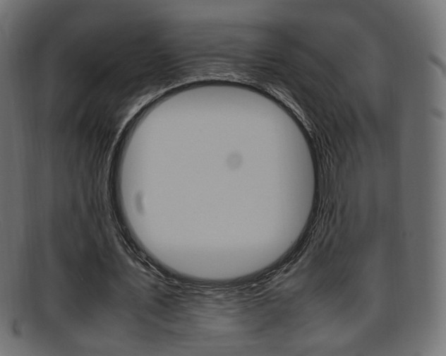 X0000095690579200801081040