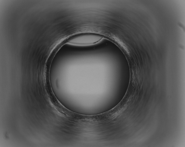 X0000095690580200801081040