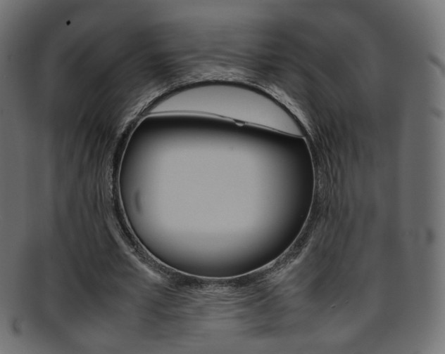 X0000095690581200801081040