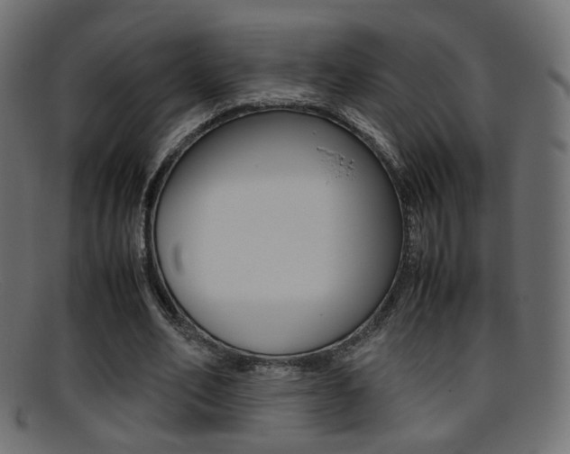X0000095690582200801081040