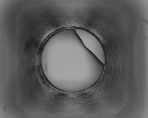 X0000095690583200801081040