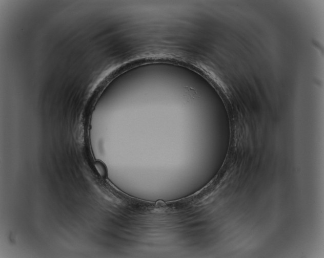 X0000095690584200801081040