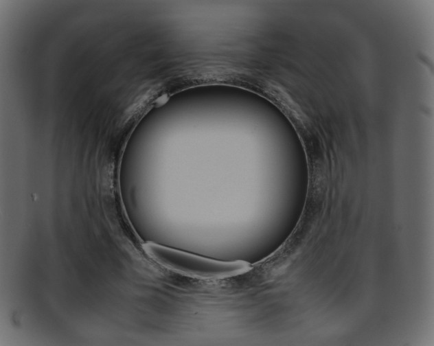 X0000095690585200801081040