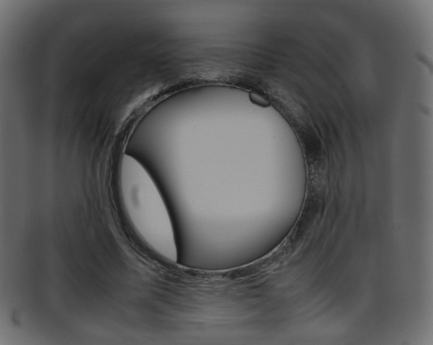 X0000095690587200801081040