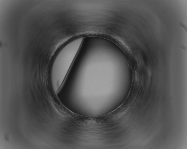 X0000095690588200801081040