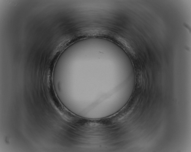 X0000095690590200801081040