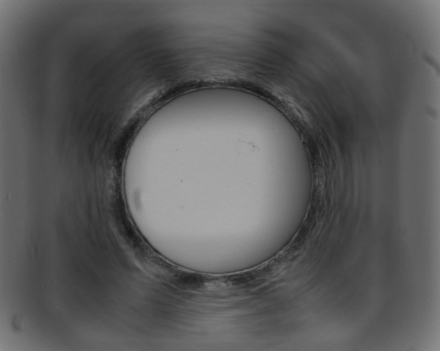 X0000095690591200801081040