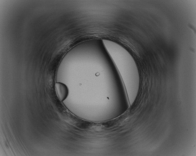 X0000095690595200801081040