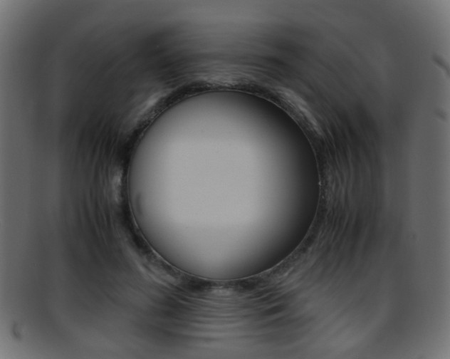 X0000095690596200801081040