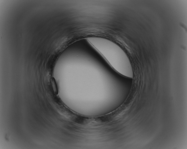 X0000095690597200801081040