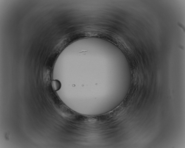 X0000095690598200801081040