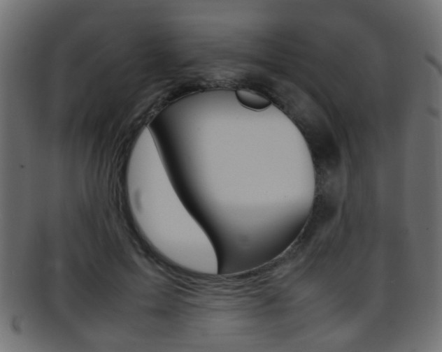 X0000095690599200801081040