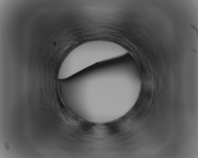 X0000095690603200801081040