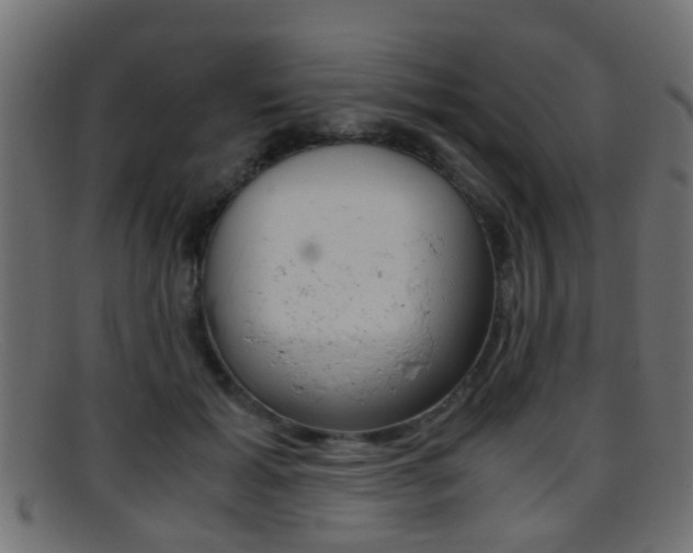 X0000095690605200801081040