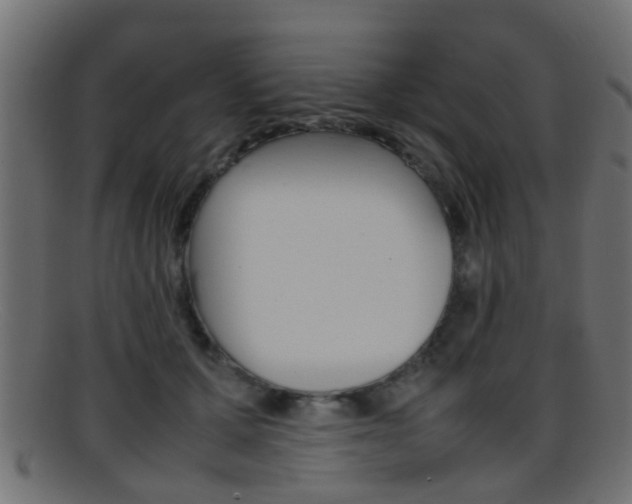 X0000095690607200801081040