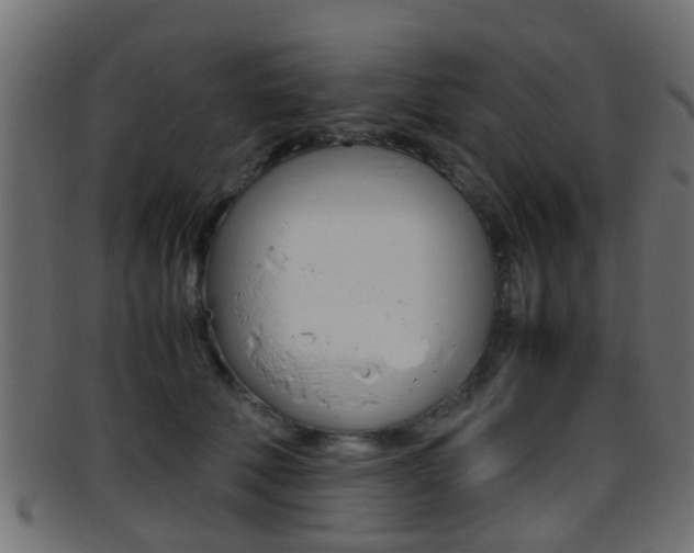 X0000095690610200801081040
