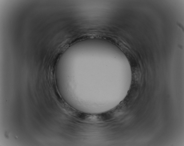 X0000095690611200801081040