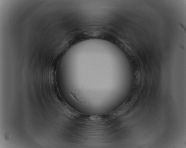 X0000095690612200801081040
