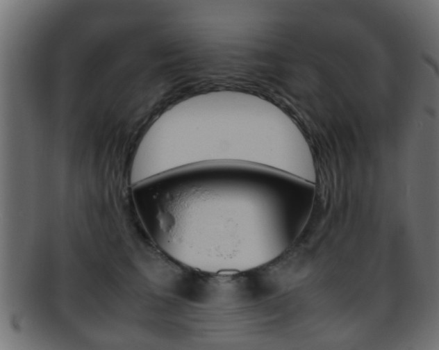 X0000095690613200801081040