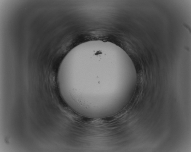 X0000095690615200801081040