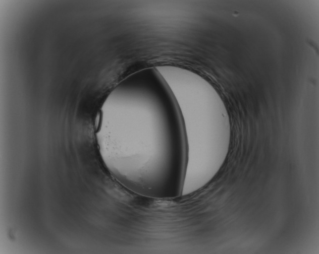X0000095690617200801081040